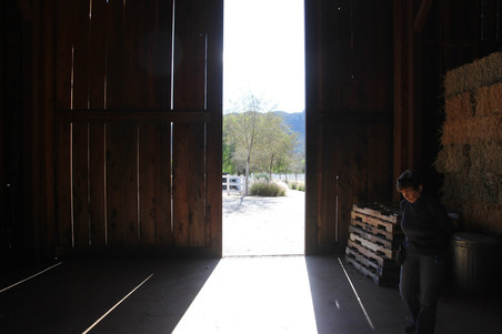 Enlarge photo 136