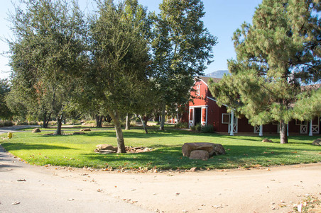 Enlarge photo 157