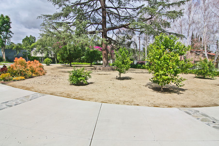 Enlarge photo 5