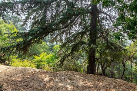 Enlarge photo 68