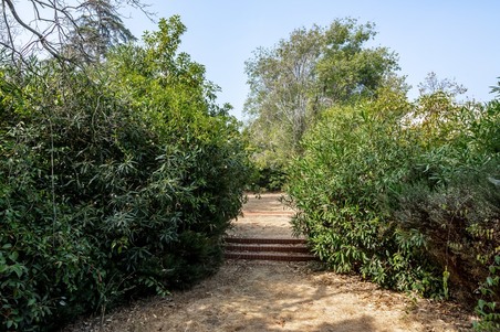 Enlarge photo 76