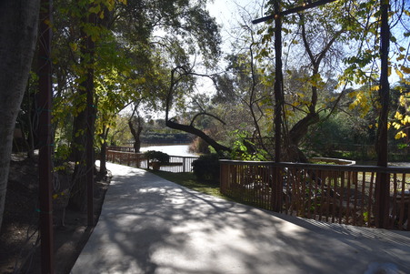 Enlarge photo 28
