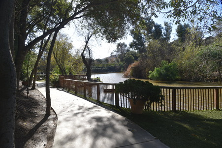 Enlarge photo 29