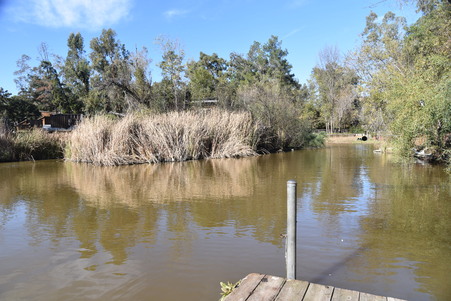 Enlarge photo 34