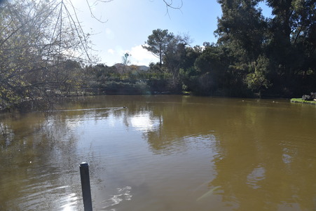 Enlarge photo 35
