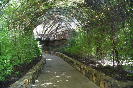 Enlarge photo 37