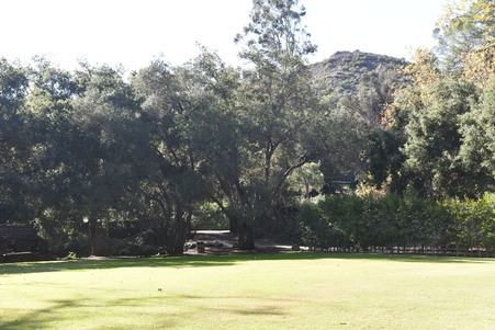 Enlarge photo 70