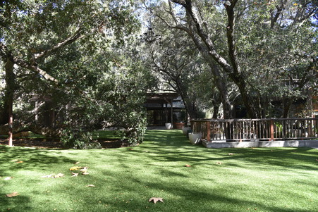 Enlarge photo 73