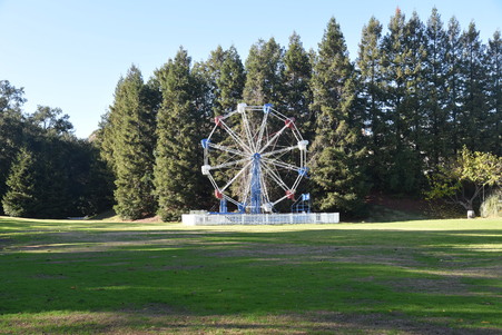 Enlarge photo 81