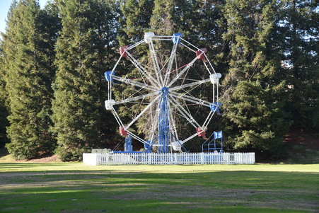 Enlarge photo 82