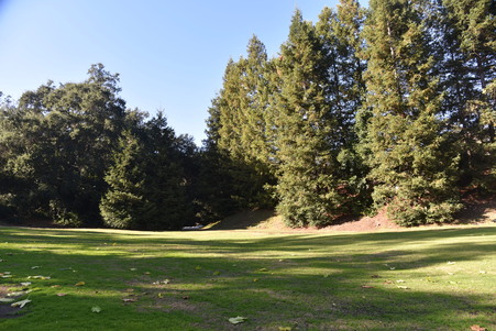 Enlarge photo 97