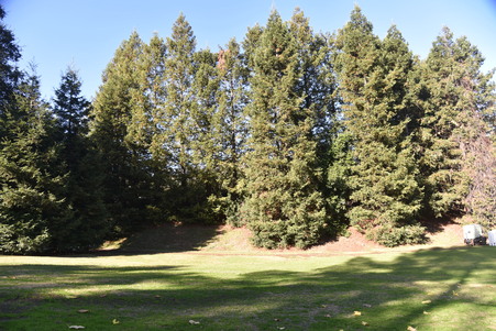 Enlarge photo 98