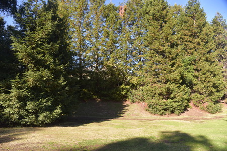 Enlarge photo 99