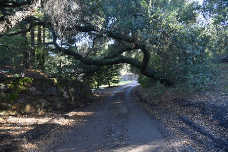 Enlarge photo 103