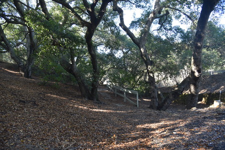 Enlarge photo 104