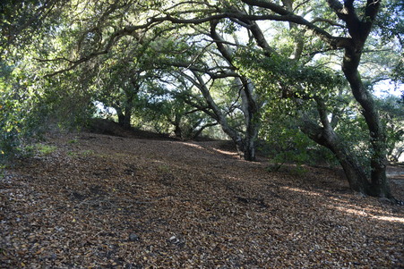 Enlarge photo 105