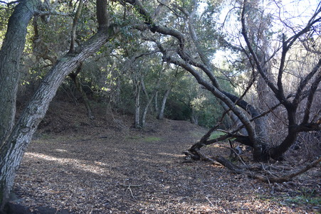 Enlarge photo 107