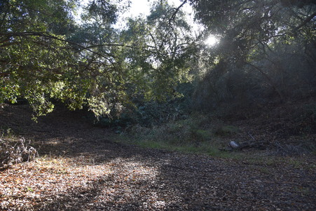 Enlarge photo 108