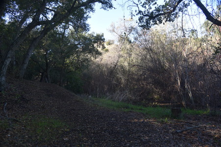 Enlarge photo 109
