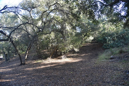 Enlarge photo 110
