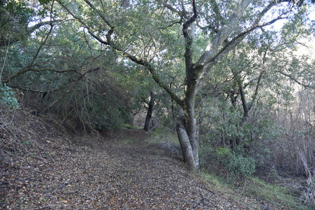 Enlarge photo 111