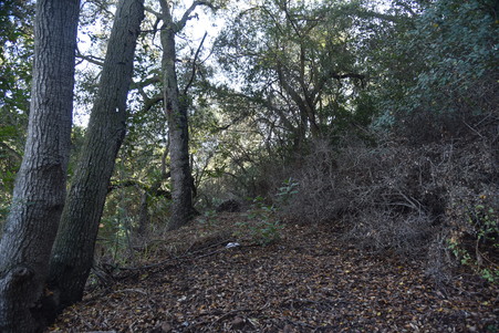 Enlarge photo 112