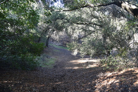 Enlarge photo 113