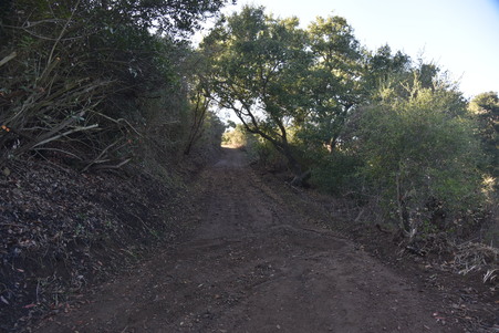 Enlarge photo 114