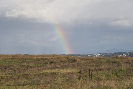 Ahmanson ranch  scouted