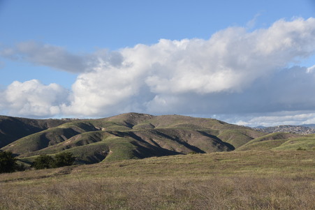 Enlarge photo 14