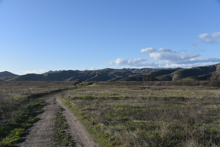 Enlarge photo 16