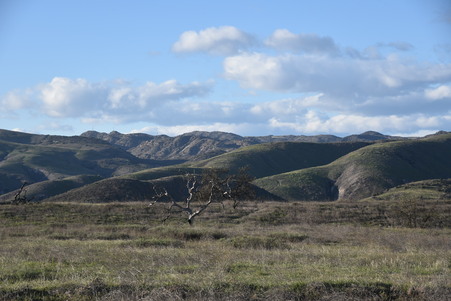 Enlarge photo 17