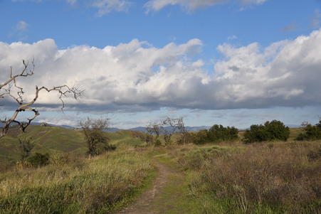 Enlarge photo 21