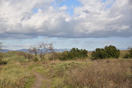 Enlarge photo 22