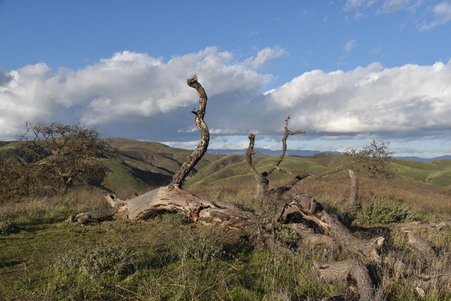 Enlarge photo 24
