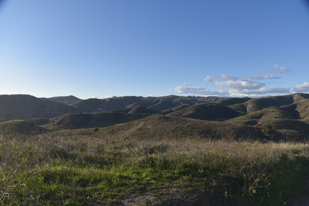 Enlarge photo 25