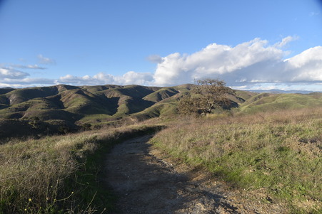 Enlarge photo 27