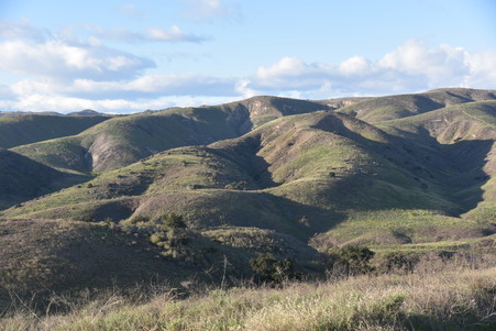 Enlarge photo 28