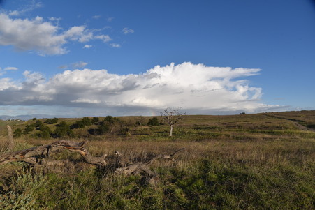 Enlarge photo 29
