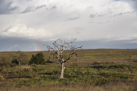 Enlarge photo 30