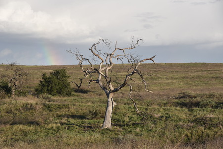 Enlarge photo 31