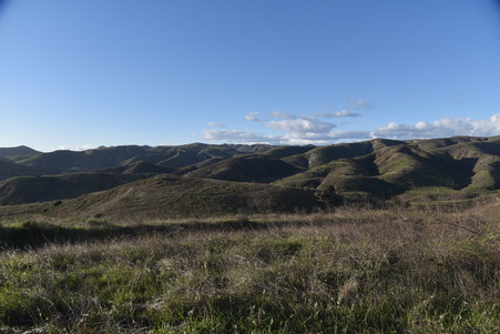 Enlarge photo 32