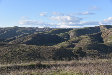 Enlarge photo 33