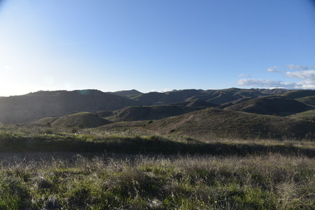 Enlarge photo 34