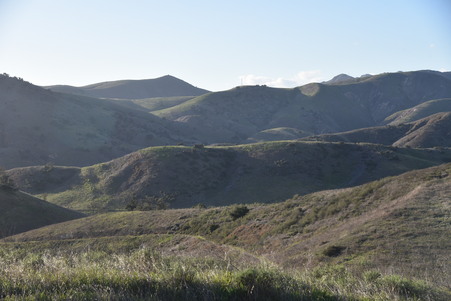 Enlarge photo 35