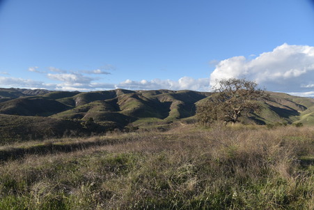 Enlarge photo 36