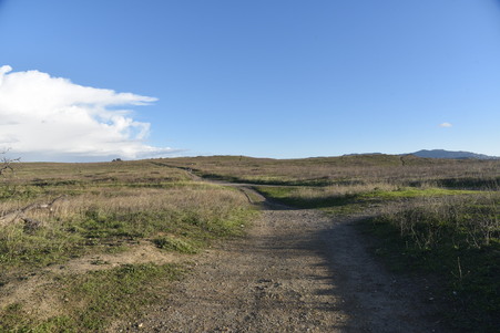 Enlarge photo 37