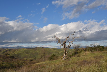 Enlarge photo 38