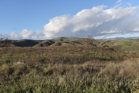 Enlarge photo 39