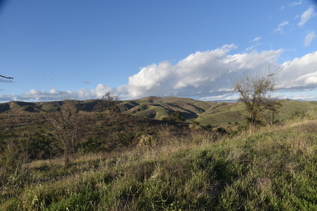 Enlarge photo 40